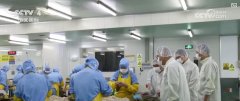 <b>卫生健康部分研究健全食物添加剂品种动态办理</b>